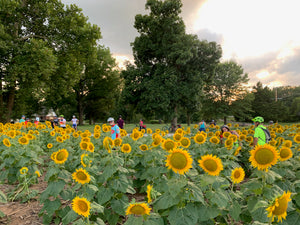 Bike Across Kansas Training Ride Hosted by Ottawa Bike and Trail