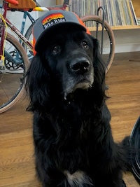 Moonrise Bike Ride Merch
