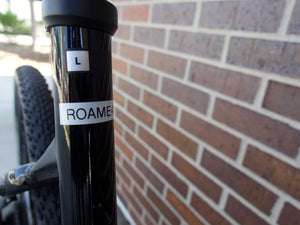 Giant Used Bikes Pre-Owned Giant Roam E-Bike - Size L