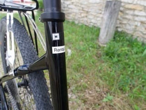 Giant Used Bikes Pre-Owned Giant Roam E-Bike - Size M