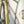 Rivendell Touring Rivendell Roadini Lugged Pre-Order Limited